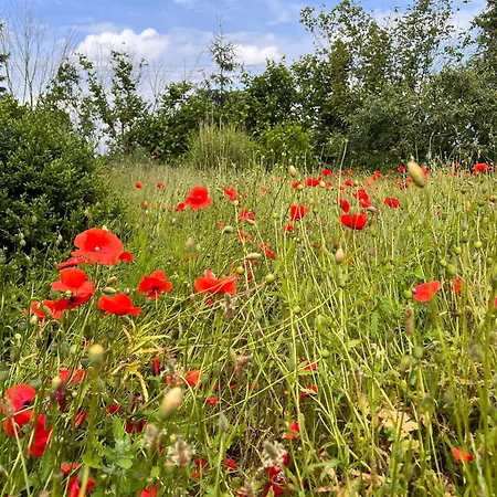 In Stresdorf * Gadebusch